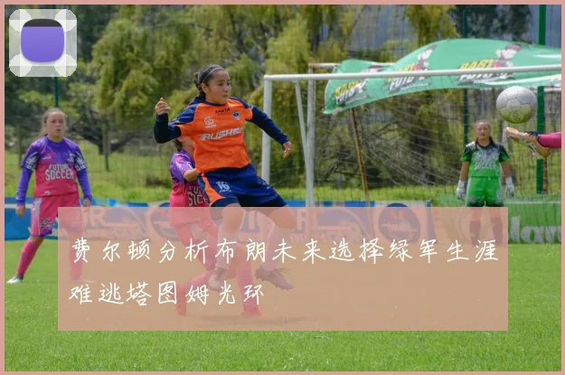 费尔顿分析布朗未来选择绿军生涯难逃塔图姆光环