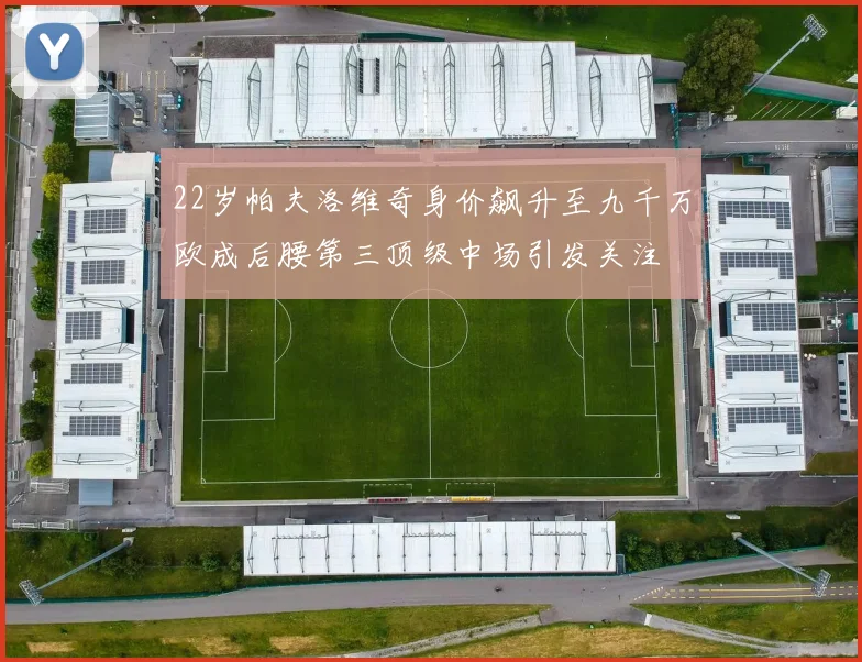 22岁帕夫洛维奇身价飙升至九千万欧成后腰第三顶级中场引发关注
